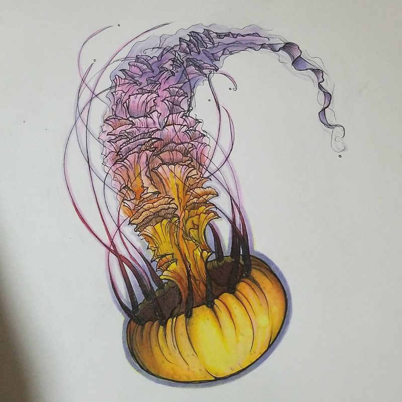 水母纹身手稿